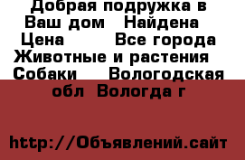 Добрая подружка,в Ваш дом!!!Найдена › Цена ­ 10 - Все города Животные и растения » Собаки   . Вологодская обл.,Вологда г.